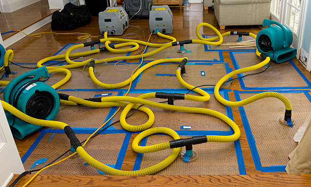 Professional Crawl Space Water Removal technician working in Grammer, IN